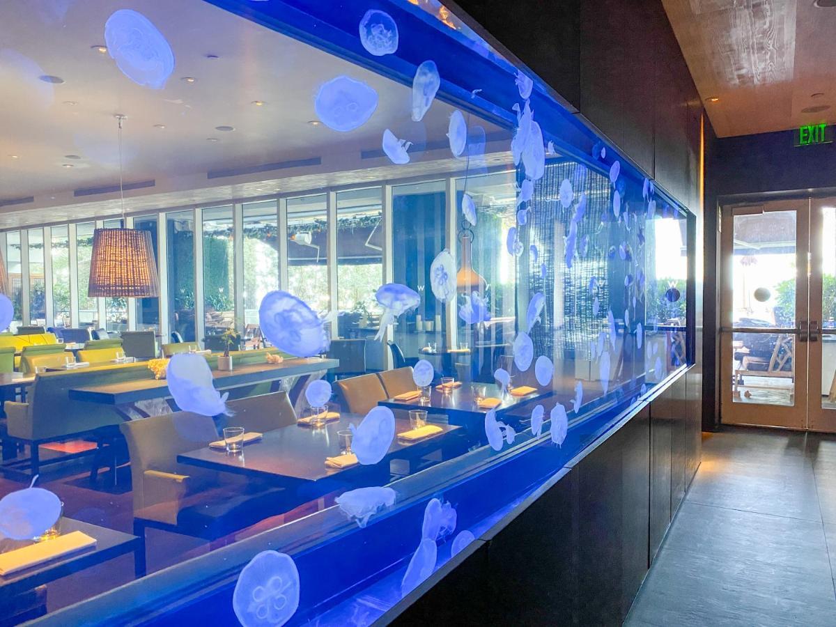 W Residences Fort Lauderdale Luxury Suites Across From Fort Lauderdale Beach Экстерьер фото